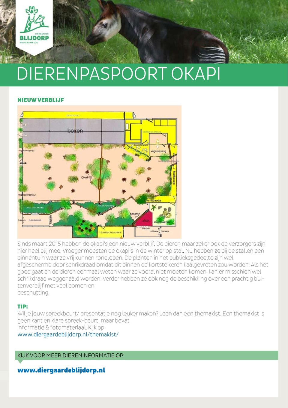 De planten in het publieksgedeelte zijn wel afgeschermd door schrikdraad omdat dit binnen de kortste keren kaalgevreten zou worden.