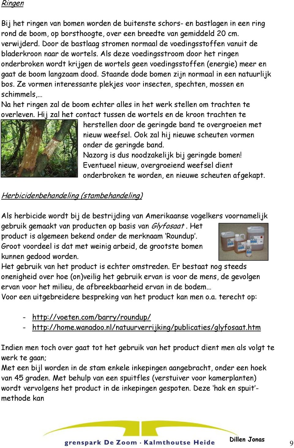 Als deze voedingsstroom door het ringen onderbroken wordt krijgen de wortels geen voedingsstoffen (energie) meer en gaat de boom langzaam dood. Staande dode bomen zijn normaal in een natuurlijk bos.