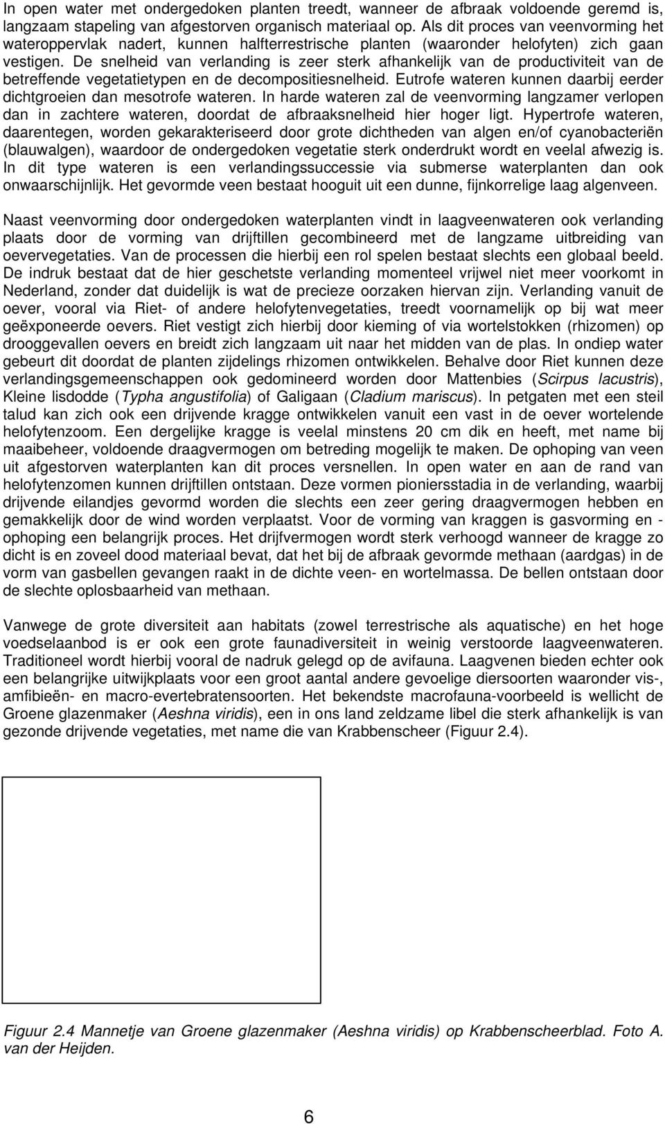 De snelheid van verlanding is zeer sterk afhankelijk van de productiviteit van de betreffende vegetatietypen en de decompositiesnelheid.