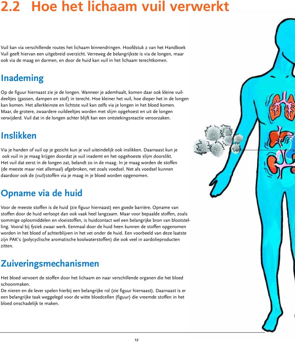 Wanneer je ademhaalt, komen daar ook kleine vuildeeltjes (gassen, dampen en stof) in terecht. Hoe kleiner het vuil, hoe dieper het in de longen kan komen.