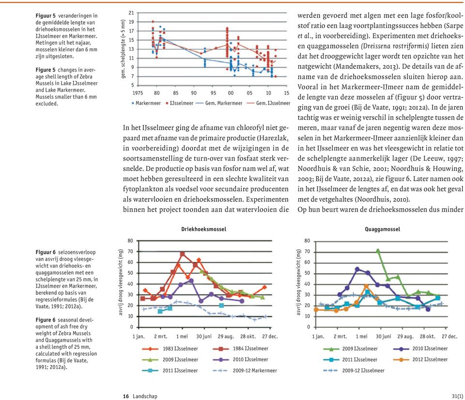 schelplengte (> 5 mm) 21 19 17 15 13 11 9 7 5 1975 80 85 90 95 00 05 10 15 Markermeer IJsselmeer Gem. Markermeer Gem.