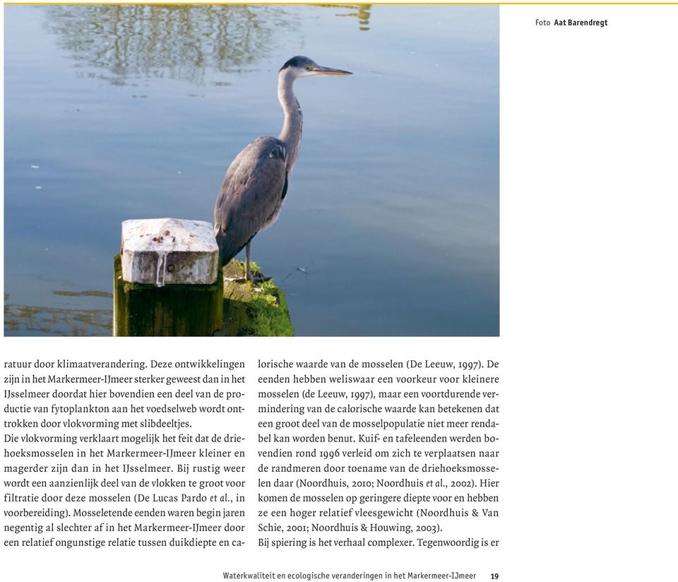 vlokvorming met slibdeeltjes. Die vlokvorming verklaart mogelijk het feit dat de driehoeksmosselen in het Markermeer-IJmeer kleiner en magerder zijn dan in het IJsselmeer.