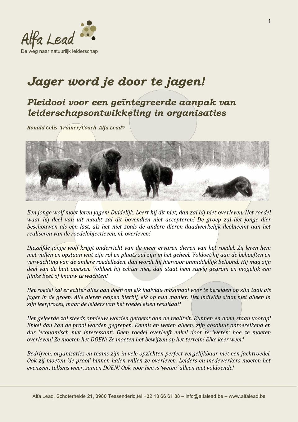 De groep zal het jonge dier beschouwen als een last, als het niet zoals de andere dieren daadwerkelijk deelneemt aan het realiseren van de roedelobjectieven, nl. overleven!