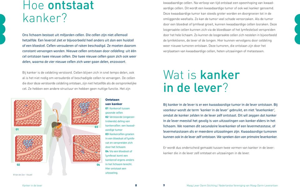 Als de tumor door een bloedvat of lymfevat groeit, kunnen kwaadaardige cellen losraken.