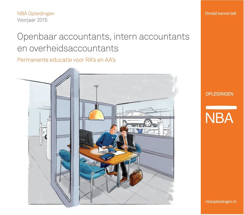 accountants en overheidsaccountants