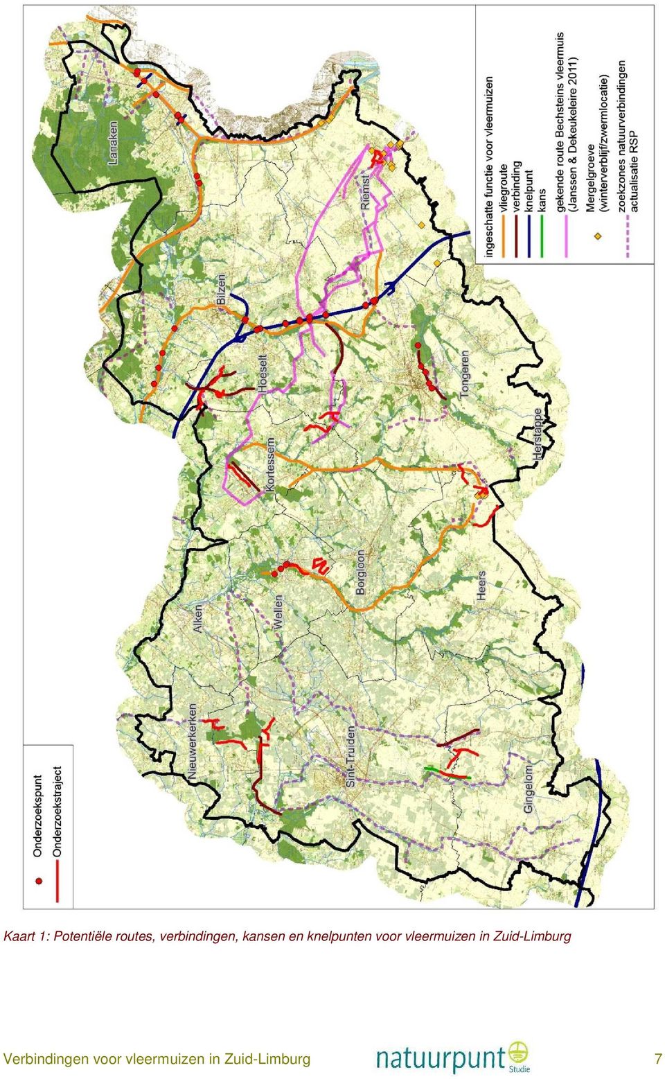 voor vleermuizen in Zuid-Limburg