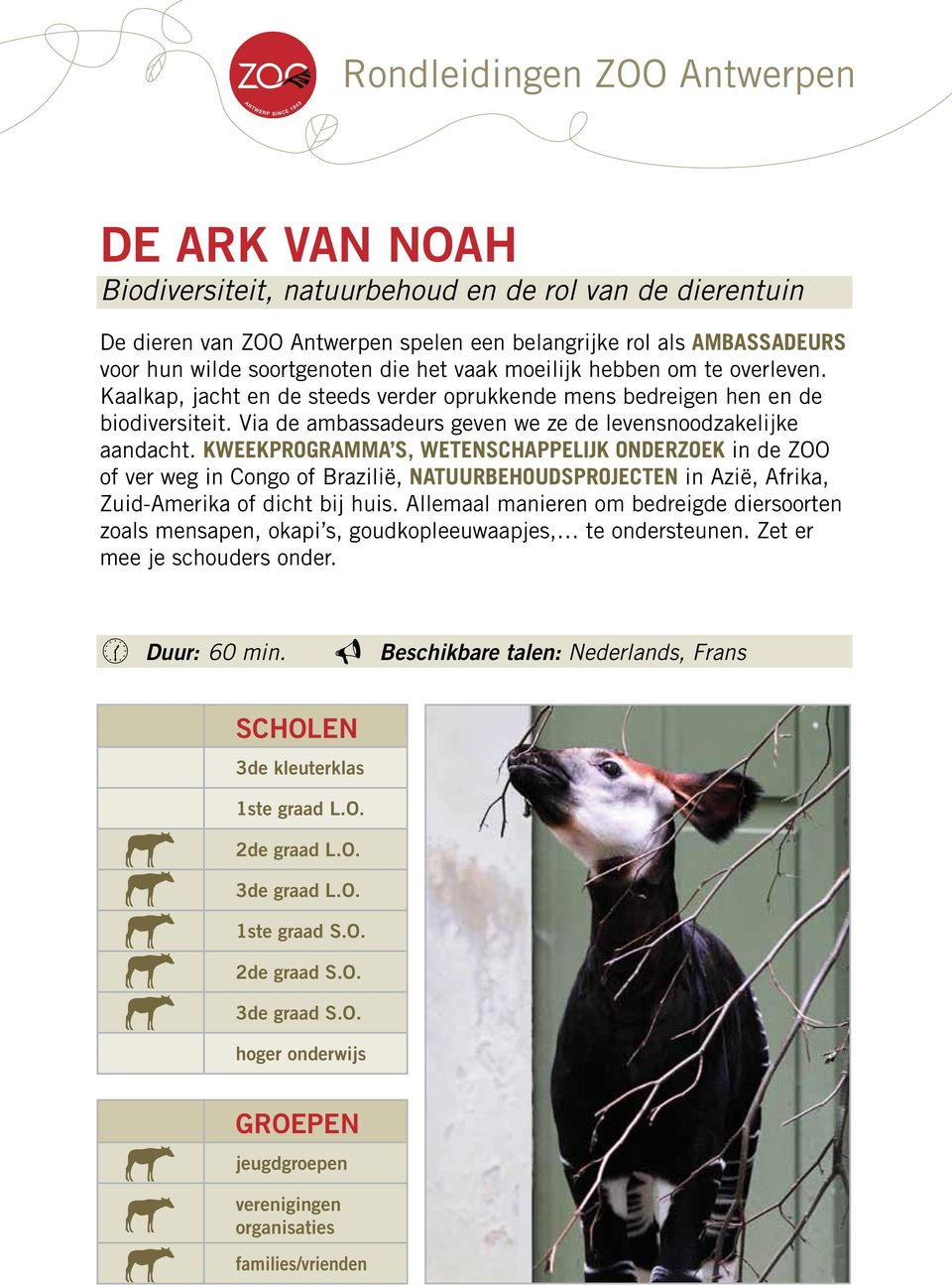 Via de ambassadeurs geven we ze de levensnoodzakelijke aandacht.