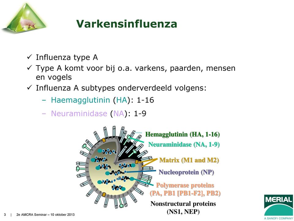 Neuraminidase (NA): 1-9 Hemagglutinin (HA, 1-16) Neuraminidase (NA, 1-9) Matrix (M1 and