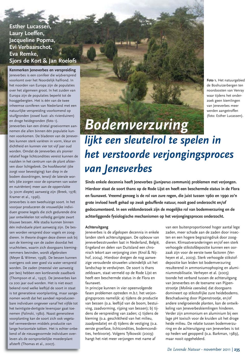 Het is één van de twee inheemse coniferen van Nederland met een natuurlijke verspreiding voorkomend op stuifgronden (zowel kust- als rivierduinen) en droge heidegronden (foto 1).