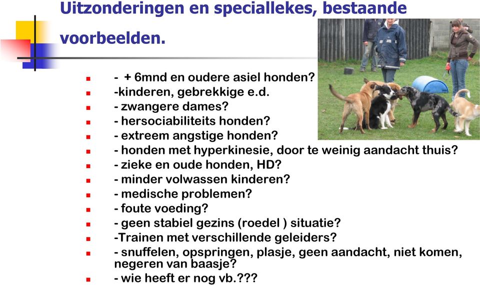 - zieke en oude honden, HD? - minder volwassen kinderen? - medische problemen? - foute voeding?