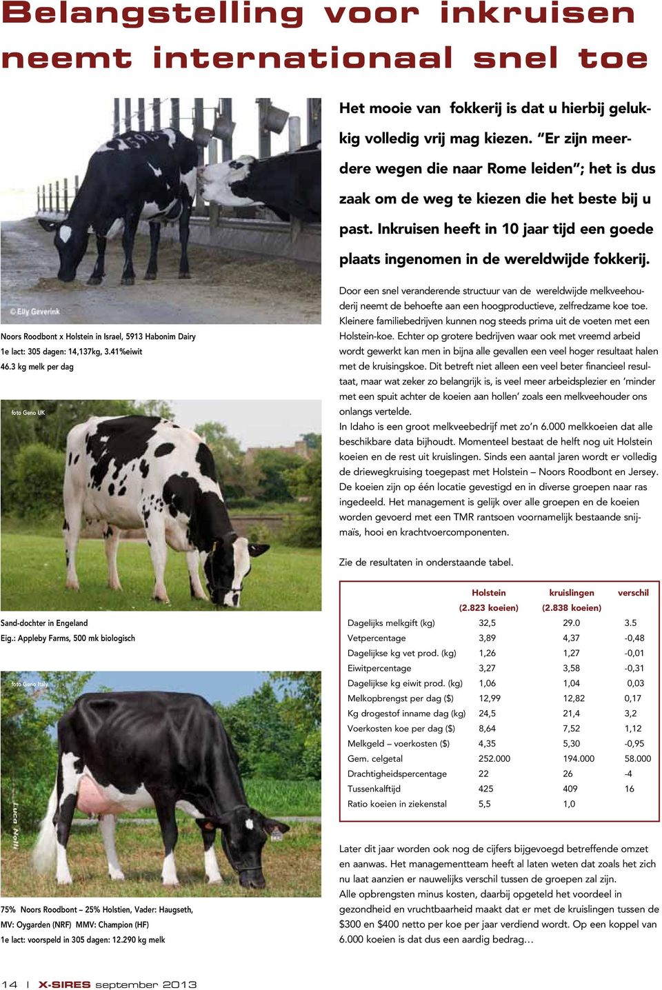 Noors Roodbont x Holstein in Israel, 5913 Habonim Dairy 1e lact: 305 dagen: 14,137kg, 3.41%eiwit 46.