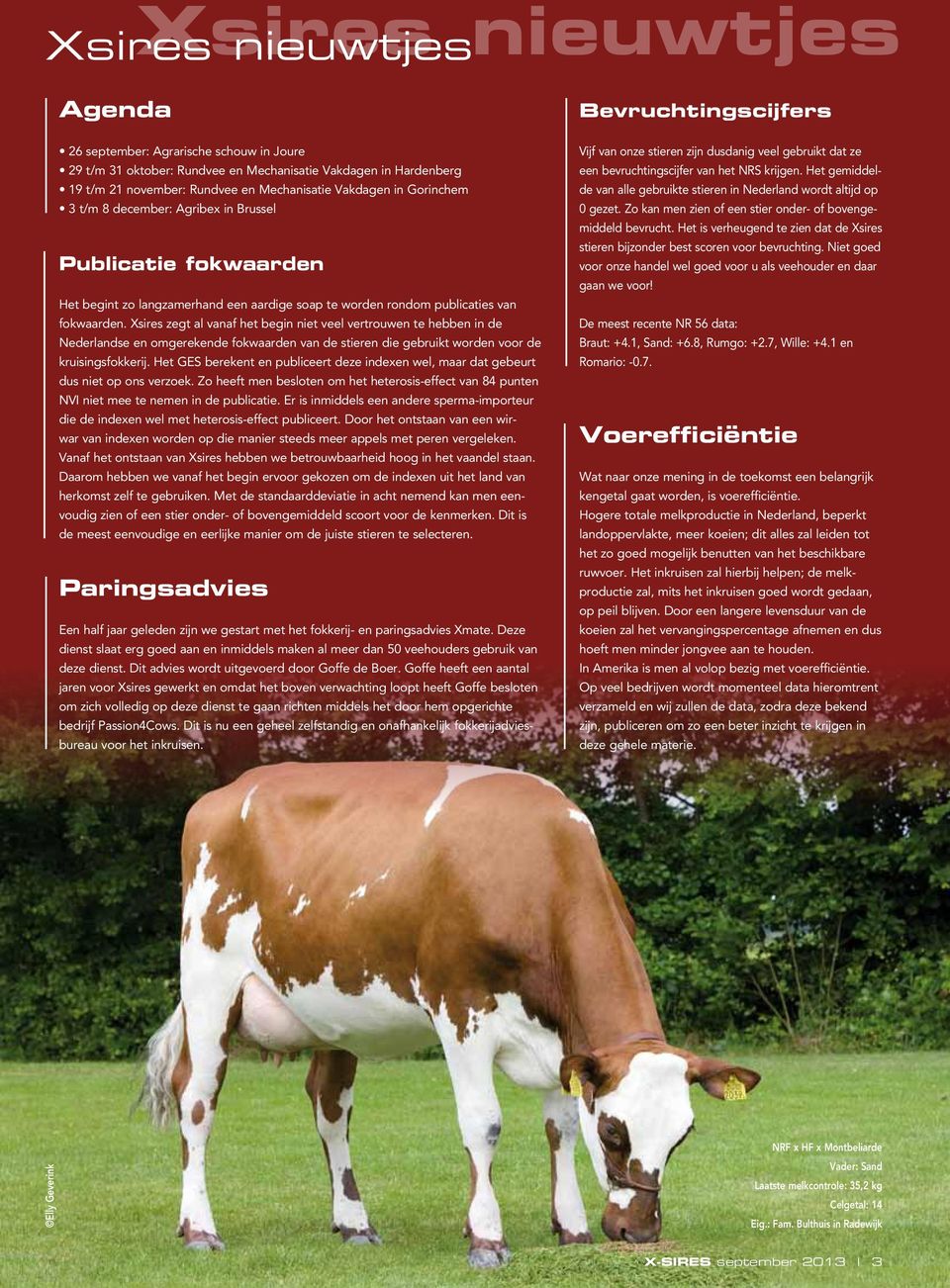 Xsires zegt al vanaf het begin niet veel vertrouwen te hebben in de Nederlandse en omgerekende fokwaarden van de stieren die gebruikt worden voor de kruisingsfokkerij.