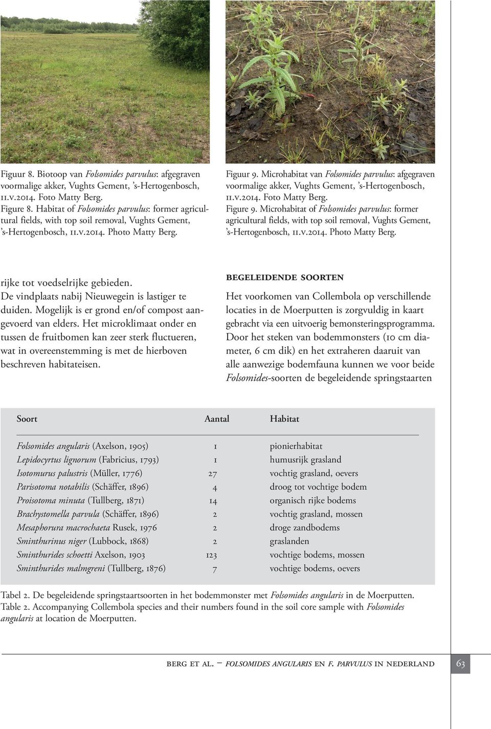 Microhabitat van Folsomides parvulus: afgegraven voormalige akker, Vughts Gement, s-hertogenbosch, 11.v.2014. Foto Matty Berg. Figure 9.