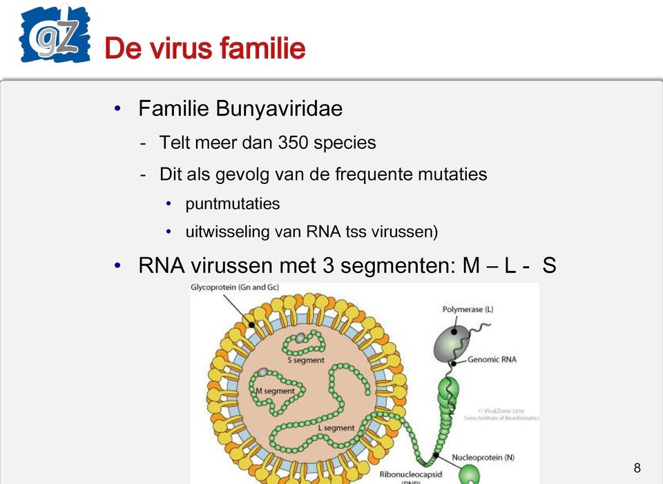 mutaties puntmutaties uitwisseling van RNA tss