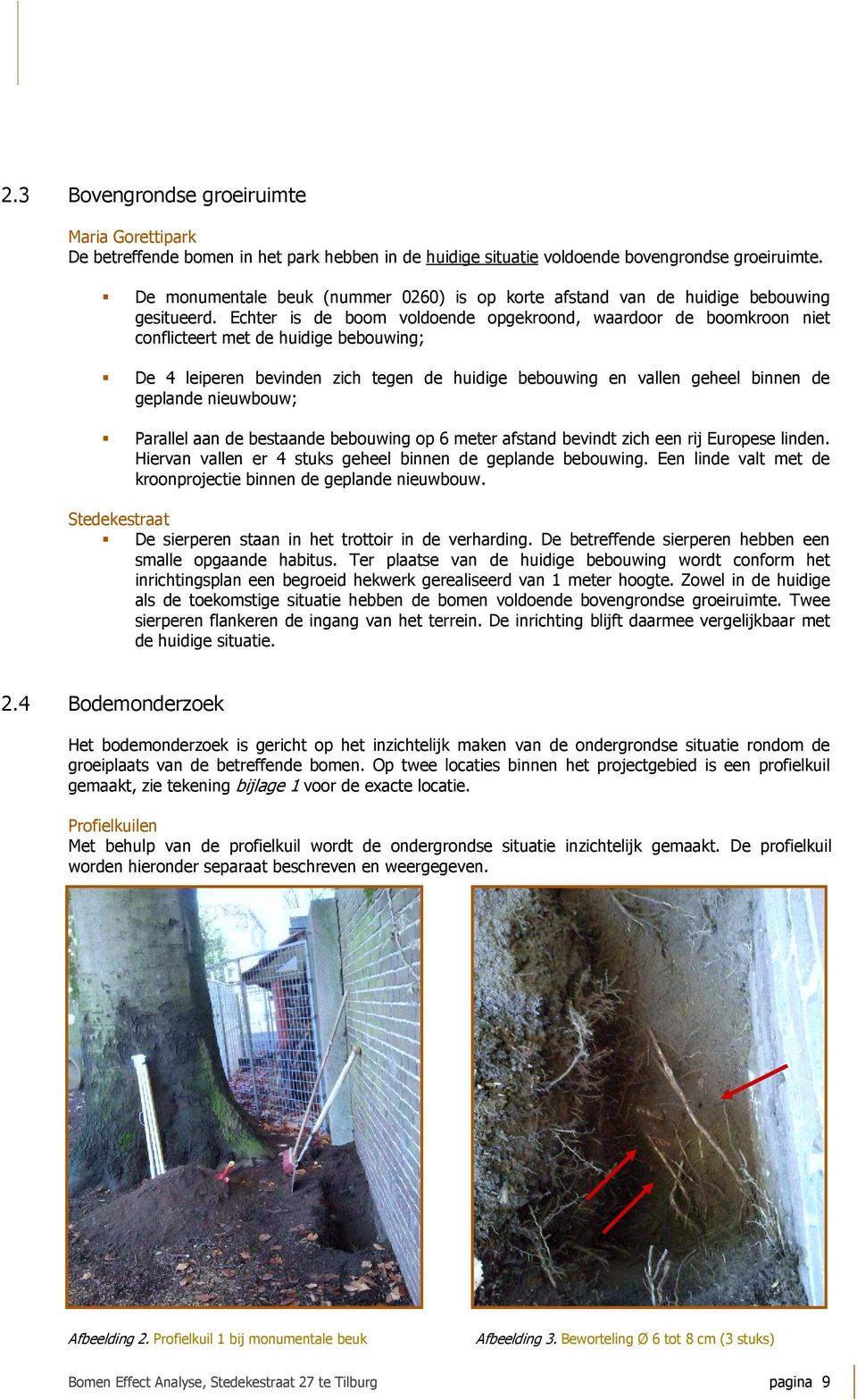 Echter is de boom voldoende opgekroond, waardoor de boomkroon niet conflicteert met de huidige bebouwing; De 4 leiperen bevinden zich tegen de huidige bebouwing en vallen geheel binnen de geplande