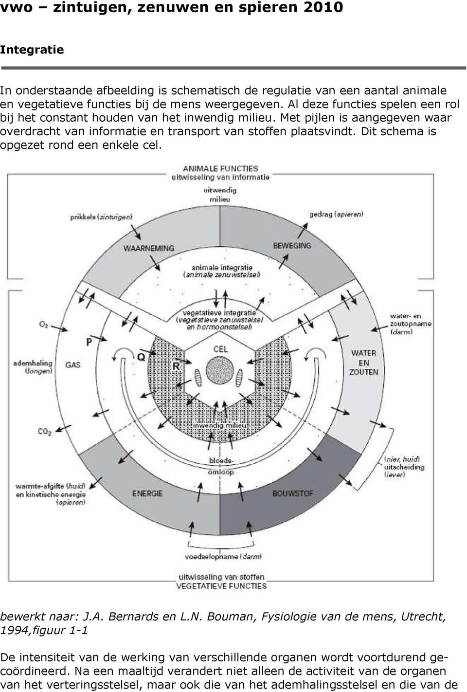 Dit schema is opgezet rond een enkele cel. bewerkt naar: J.A. Bernards en L.N.