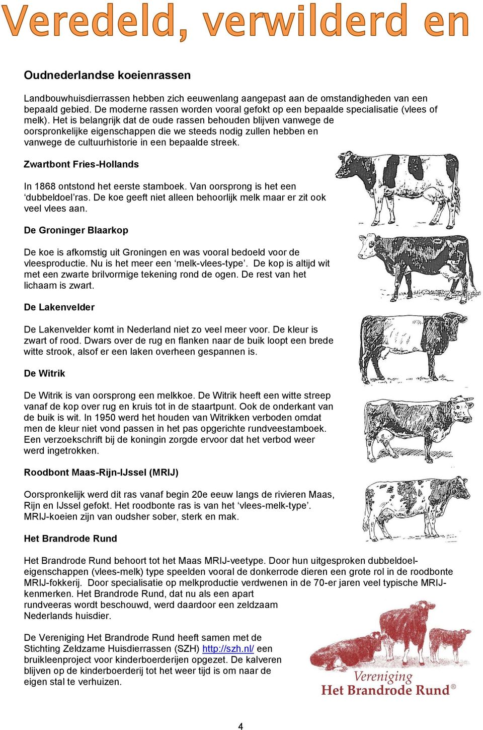 Het is belangrijk dat de oude rassen behouden blijven vanwege de oorspronkelijke eigenschappen die we steeds nodig zullen hebben en vanwege de cultuurhistorie in een bepaalde streek.