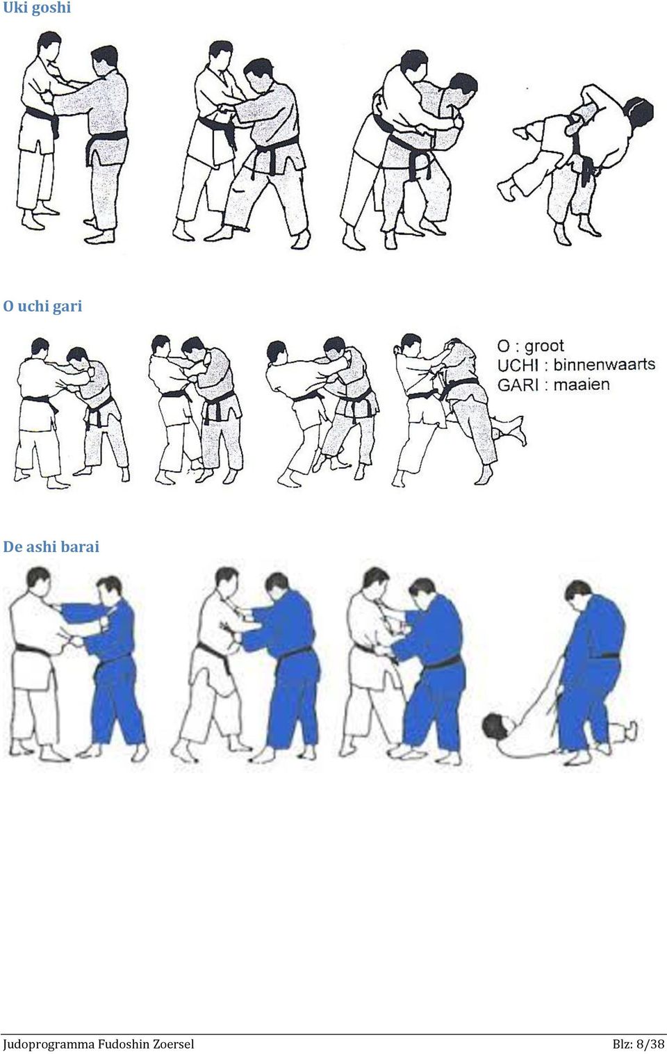 Judoprogramma