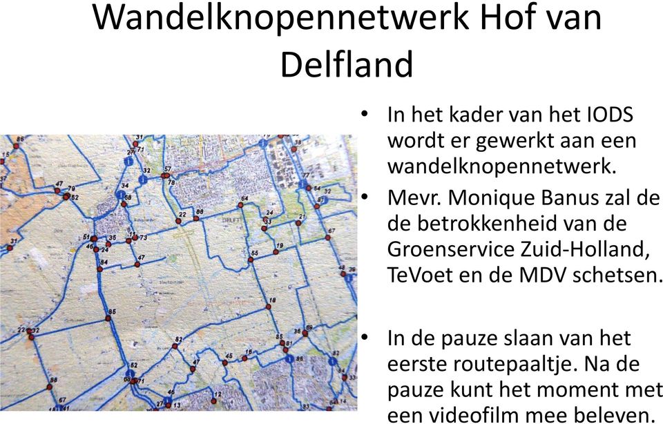 Monique Banus zal de de betrokkenheid van de Groenservice Zuid-Holland, TeVoet