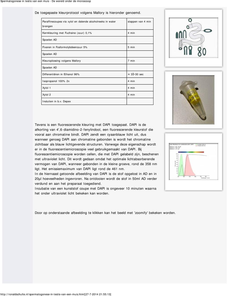 volgens Mallory 7 min Spoelen AD Differentiëren in Ethanol 96% Isopropanol 100% 2x Xylol 1 Xylol 2 10-30 sec Insluiten in b.v. Depex Tevens is een fluorescerende kleuring met DAPI toegepast.