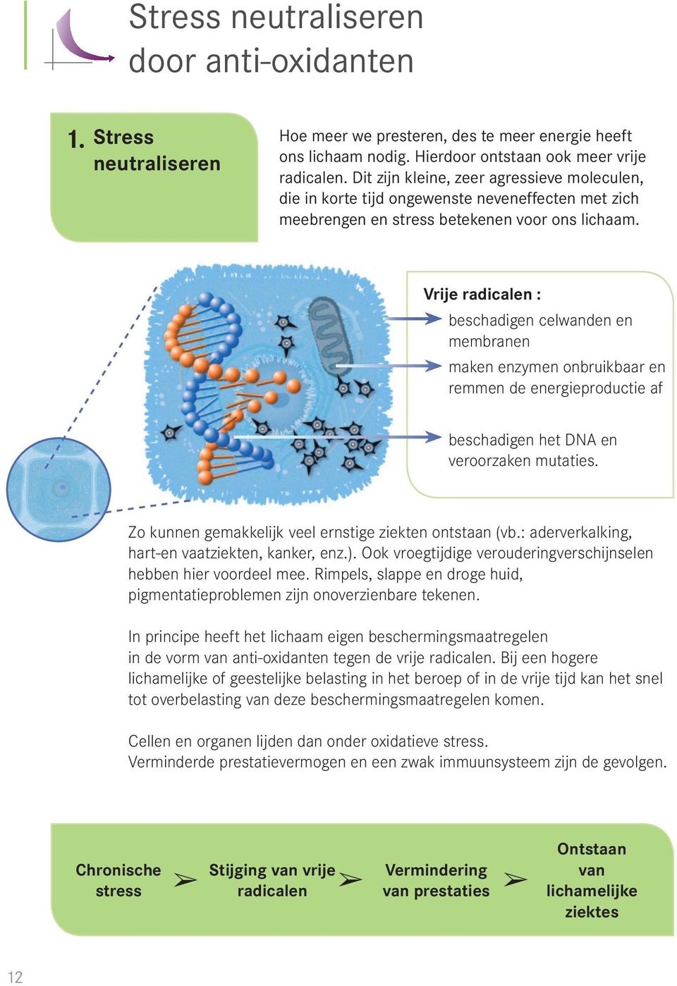 Vrije radicalen : beschadigen celwanden en membranen maken enzymen onbruikbaar en remmen de energieproductie af beschadigen het DNA en veroorzaken mutaties.