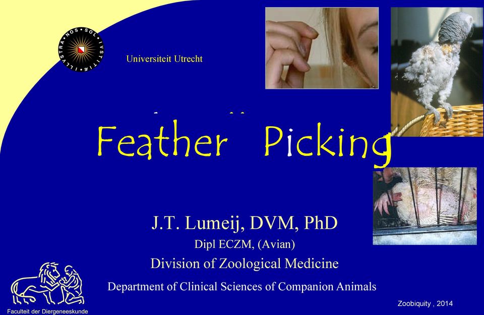 Lumeij, DVM, PhD Dipl ECZM, (Avian) Division of