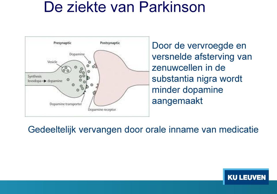 substantia nigra wordt minder dopamine