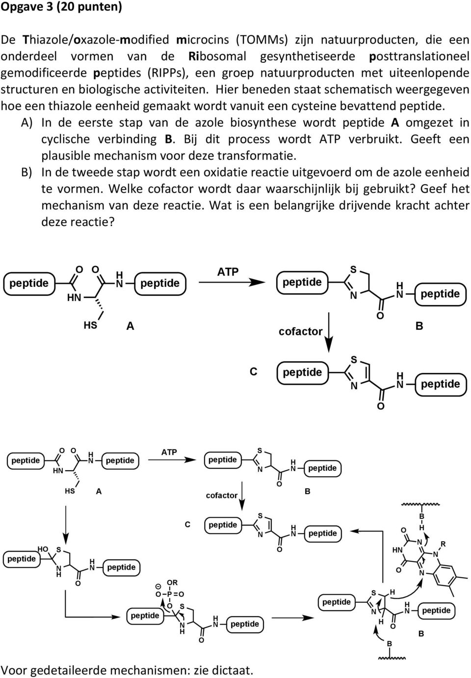 ier beneden staat schematisch weergegeven hoe een thiazole eenheid gemaakt wordt vanuit een cysteine bevattend peptide.