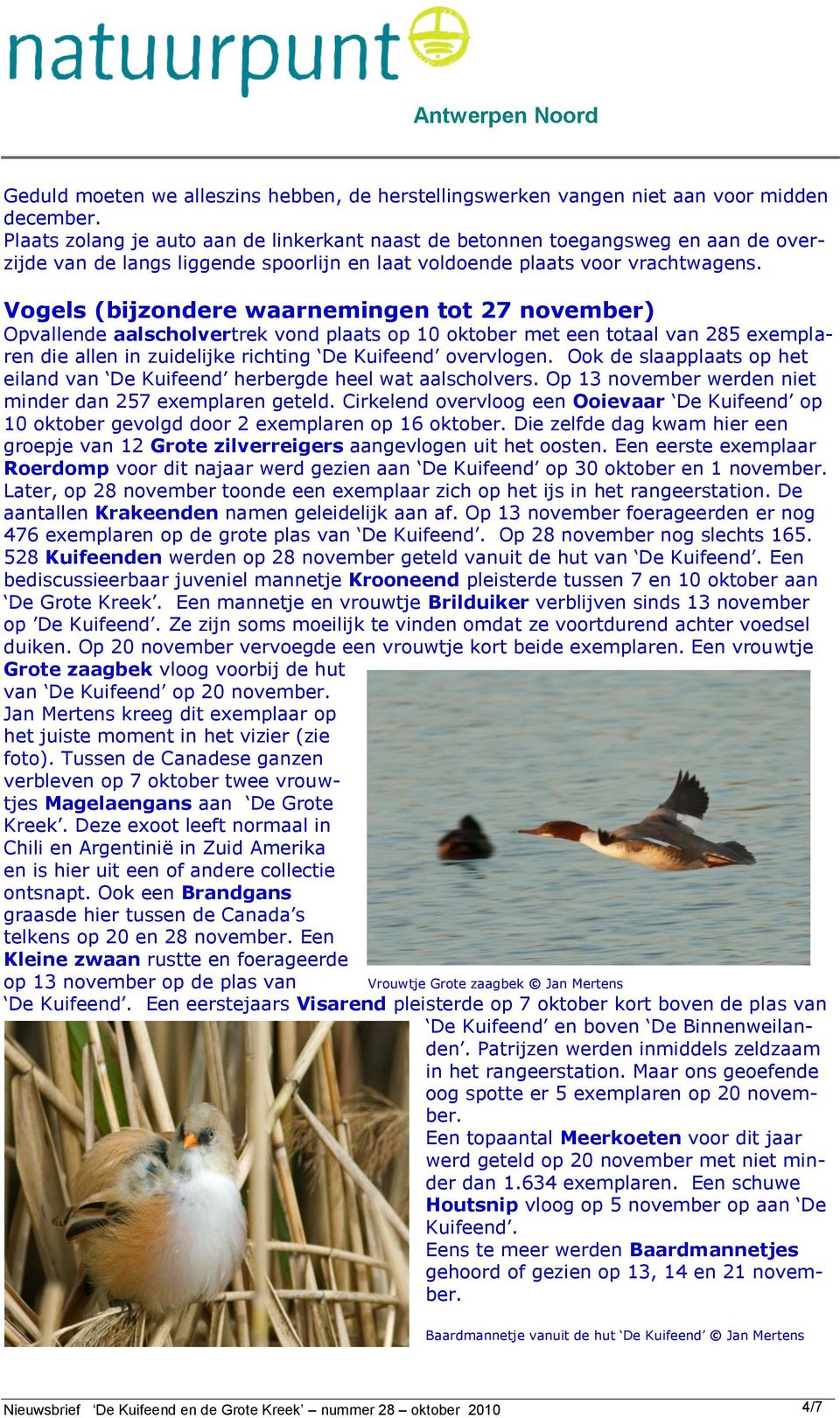 Vogels (bijzondere waarnemingen tot 27 november) Opvallende aalscholvertrek vond plaats op 10 oktober met een totaal van 285 exemplaren die allen in zuidelijke richting De Kuifeend overvlogen.