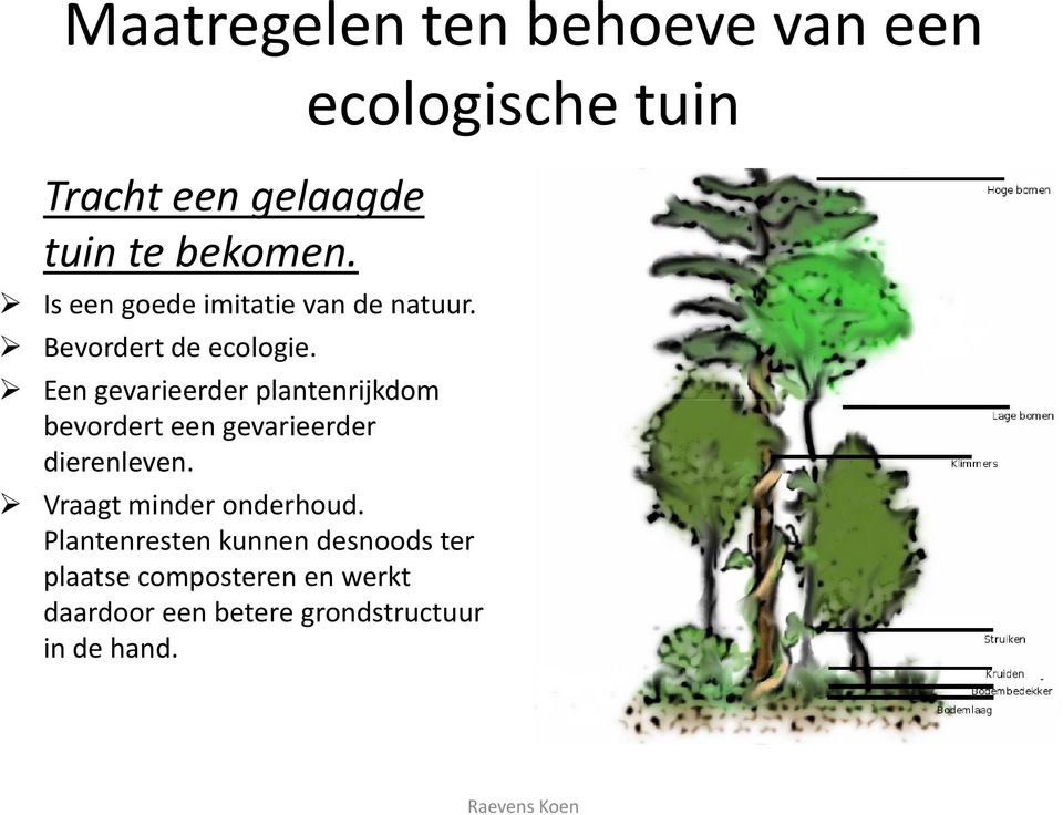 Een gevarieerder plantenrijkdom bevordert een gevarieerder dierenleven.