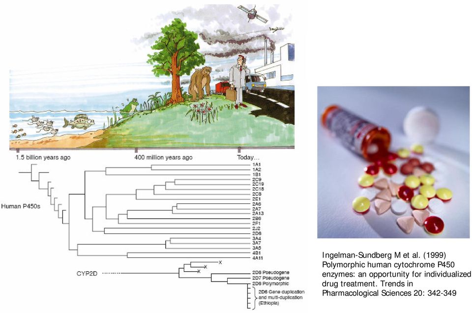 enzymes: an opportunity for individualized