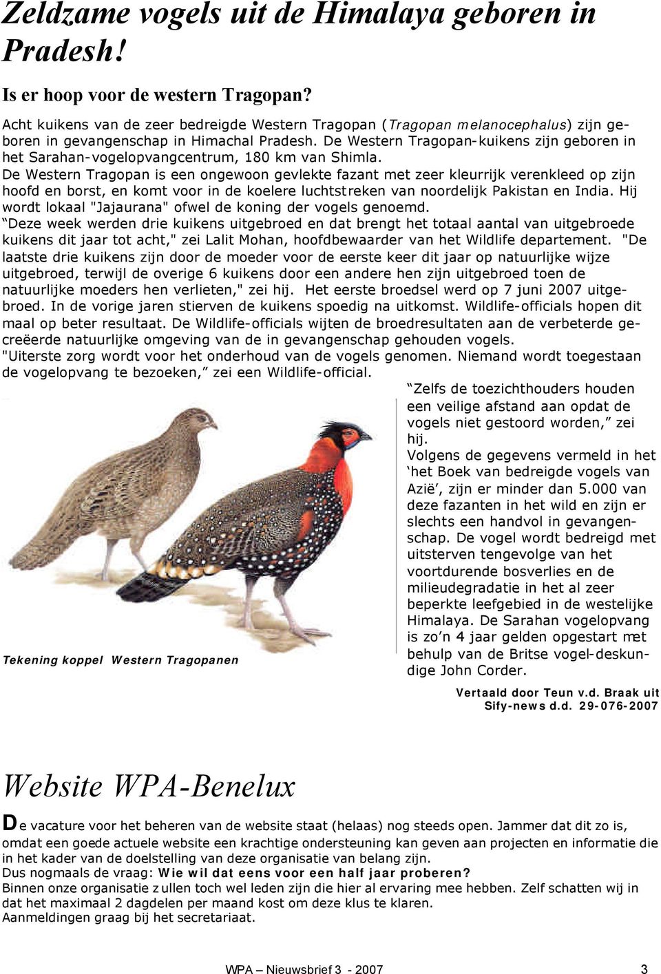 De Western Tragopan-kuikens zijn geboren in het Sarahan-vogelopvangcentrum, 180 km van Shimla.