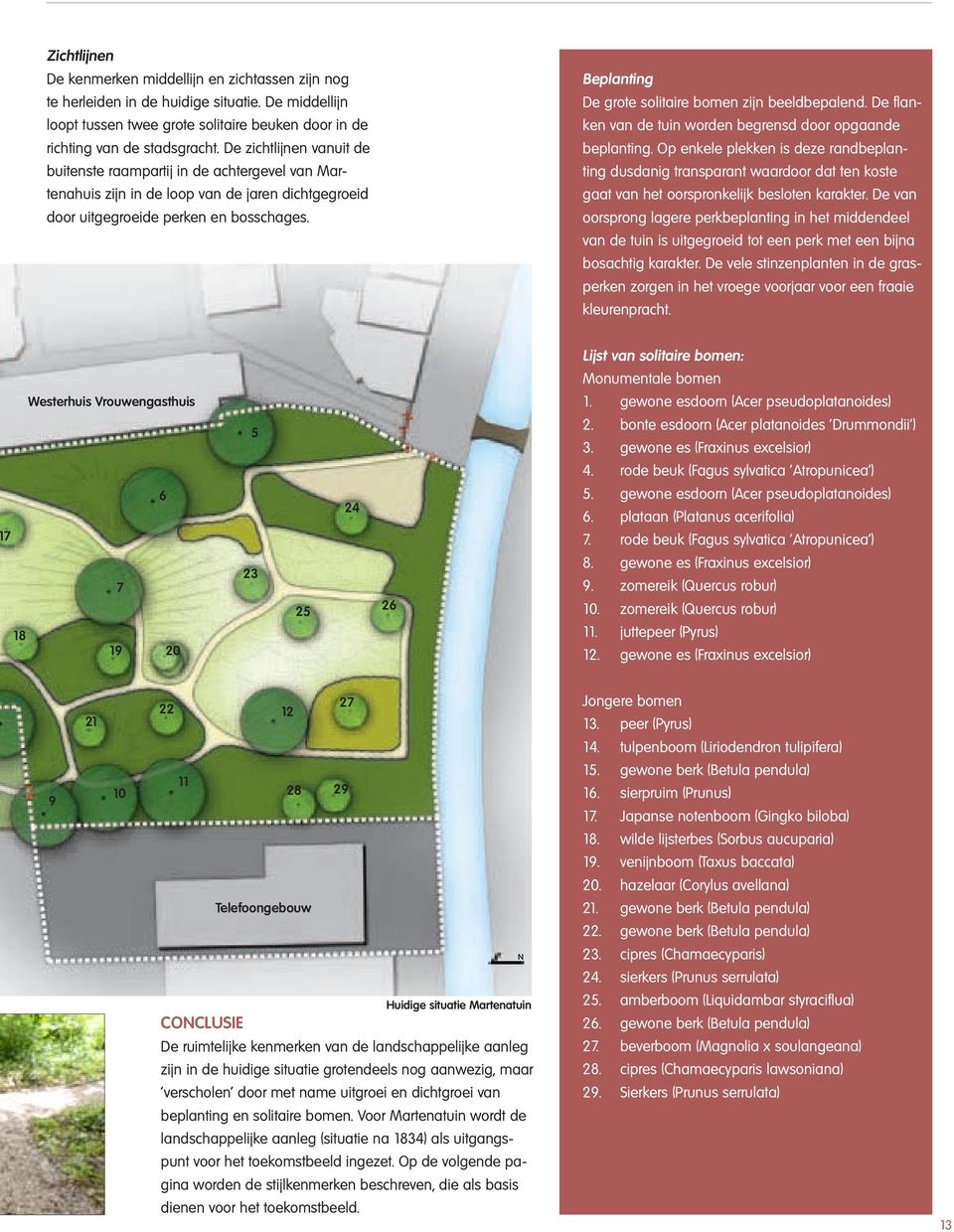 Beplanting De grote solitaire bomen zijn beeldbepalend. De flanken van de tuin worden begrensd door opgaande beplanting.