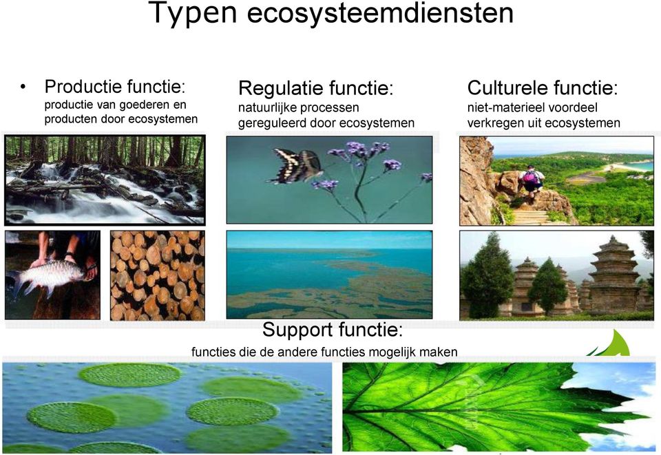 gereguleerd door ecosystemen Culturele functie: niet-materieel voordeel