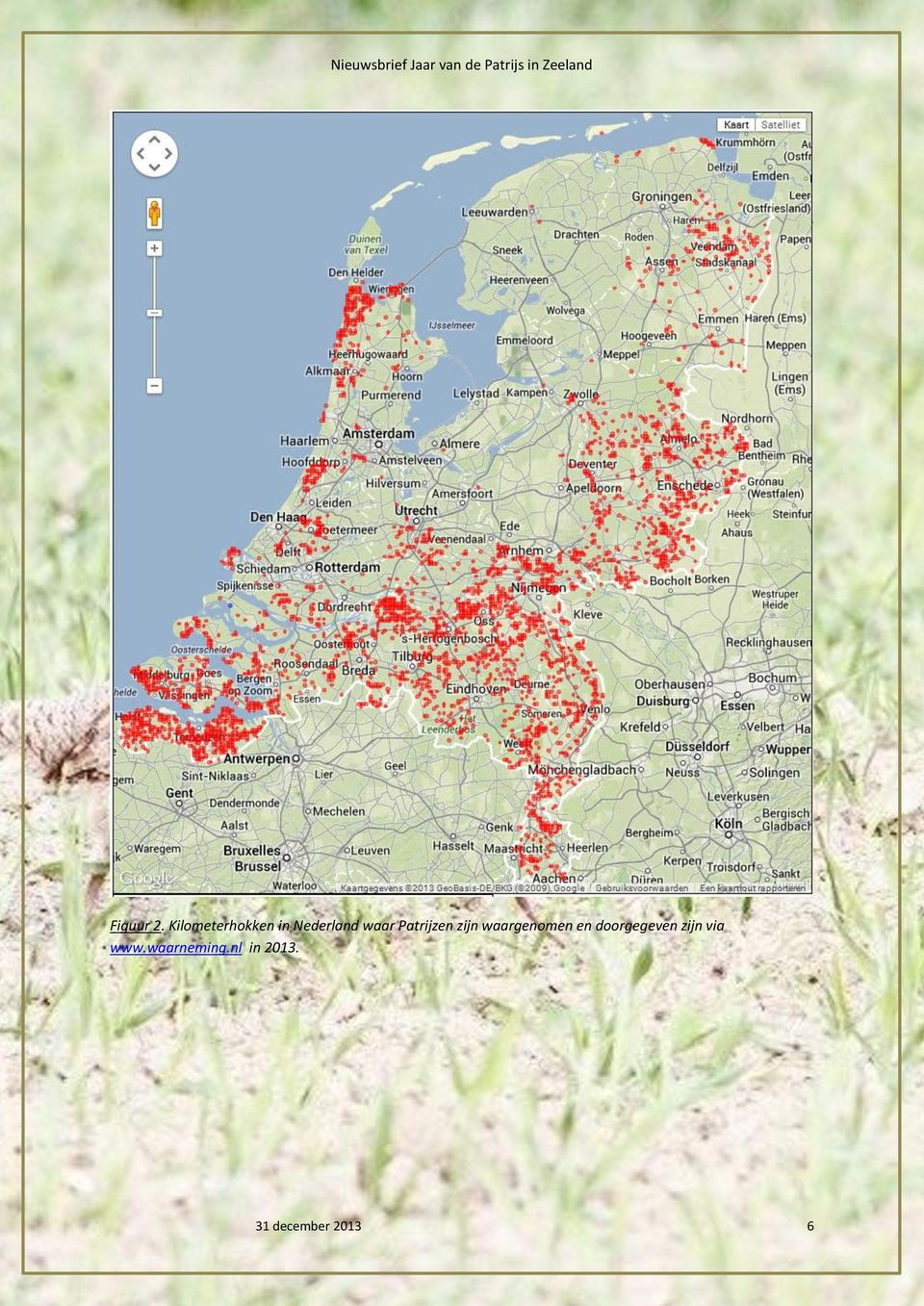 Patrijzen zijn waargenomen en