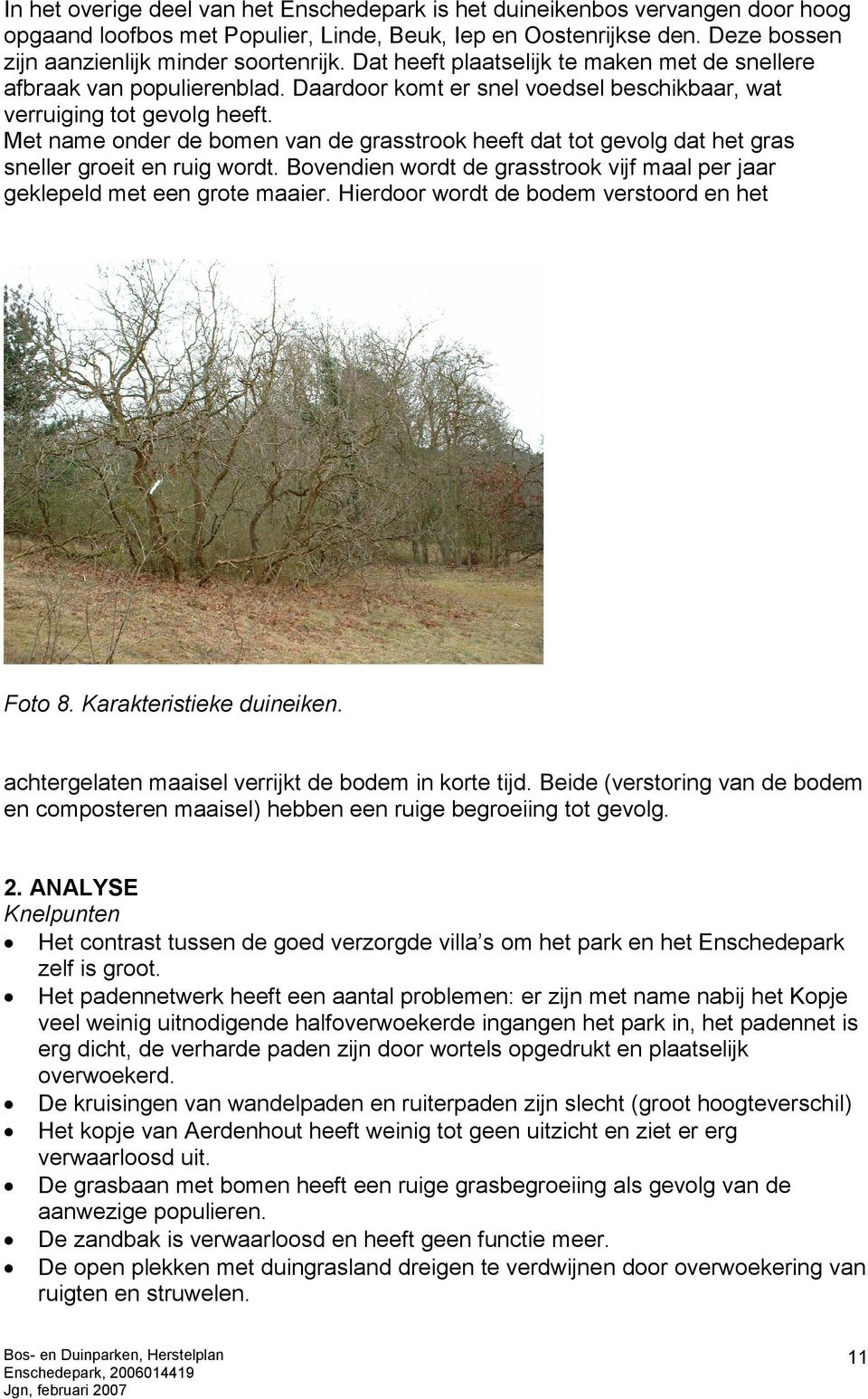 Met name onder de bomen van de grasstrook heeft dat tot gevolg dat het gras sneller groeit en ruig wordt. Bovendien wordt de grasstrook vijf maal per jaar geklepeld met een grote maaier.