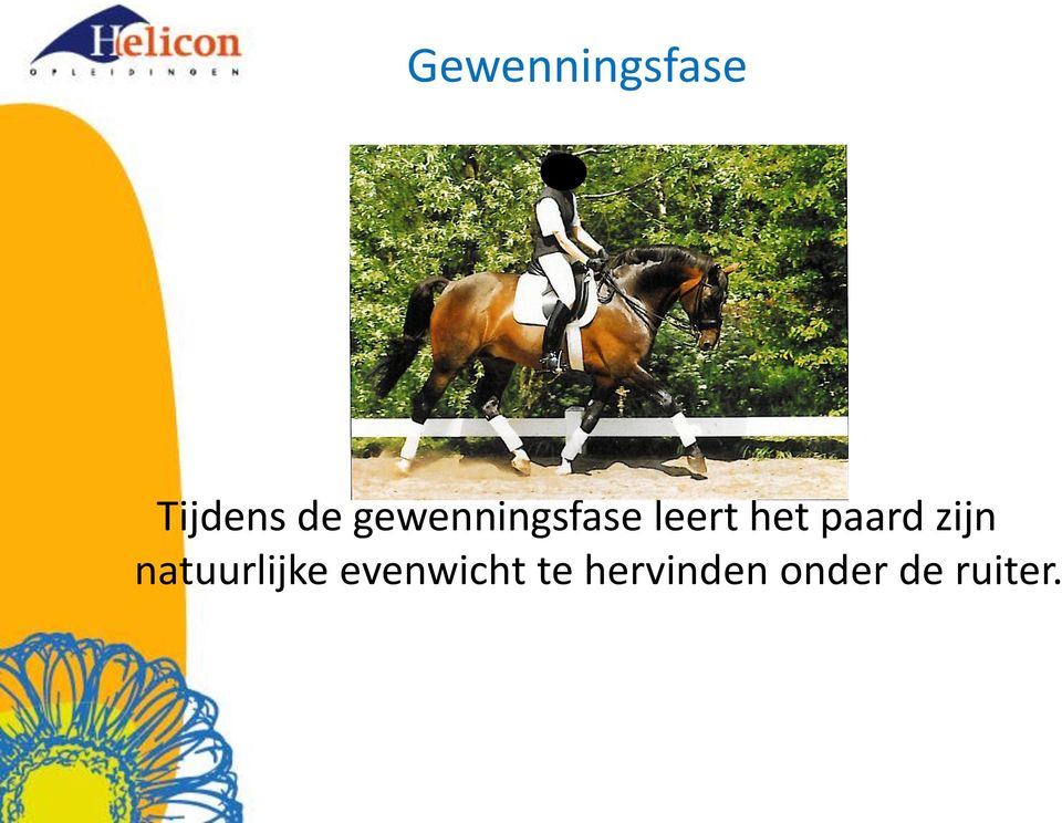 paard zijn natuurlijke