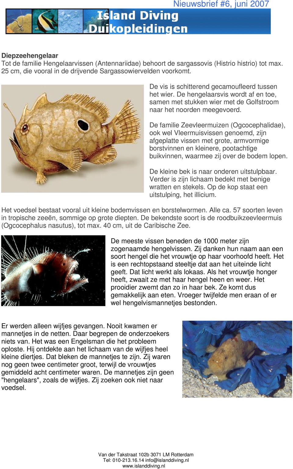 De familie Zeevleermuizen (Ogcocephalidae), ook wel Vleermuisvissen genoemd, zijn afgeplatte vissen met grote, armvormige borstvinnen en kleinere, pootachtige buikvinnen, waarmee zij over de bodem