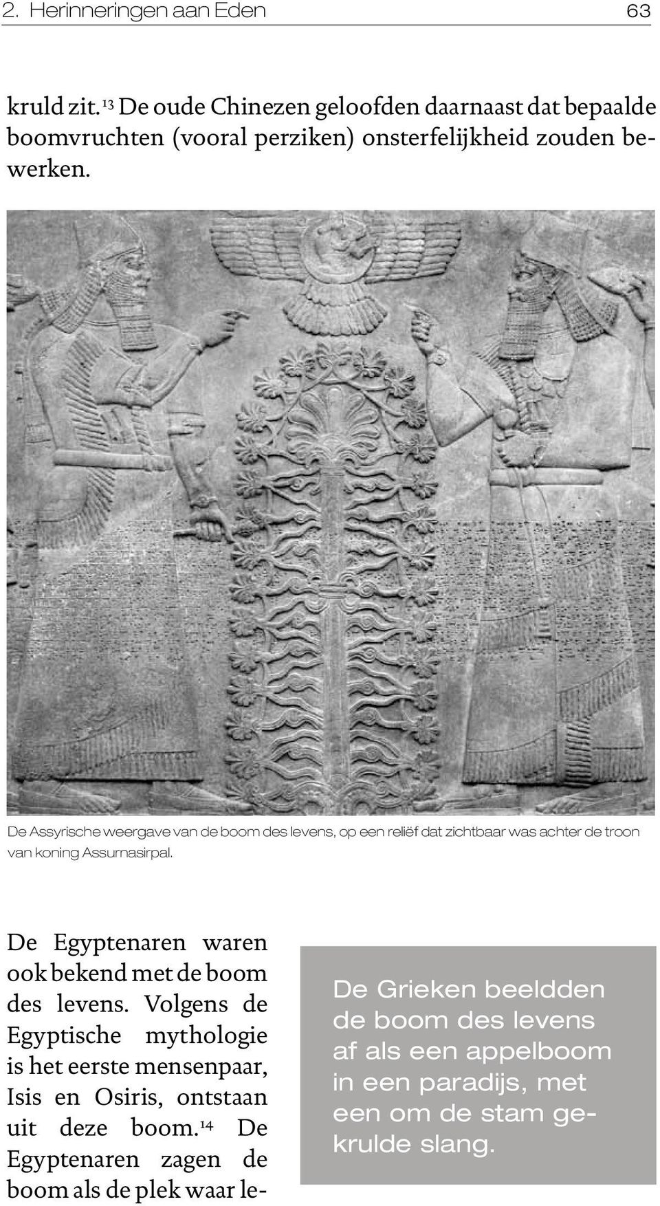 De Assyrische weergave van de boom des levens, op een reliëf dat zichtbaar was achter de troon van koning Assurnasirpal.