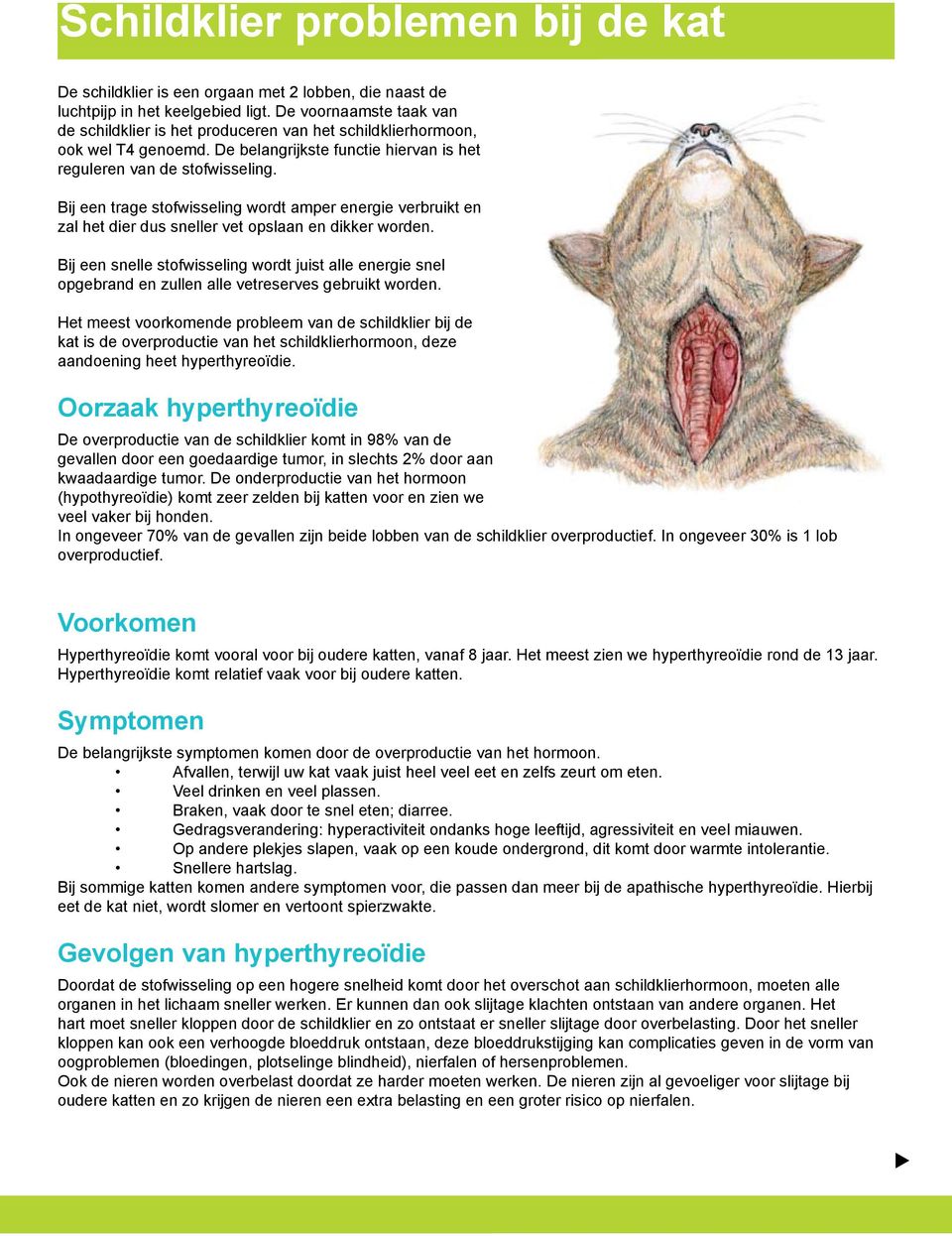 Bij een trage stofwisseling wordt amper energie verbruikt en zal het dier dus sneller vet opslaan en dikker worden.