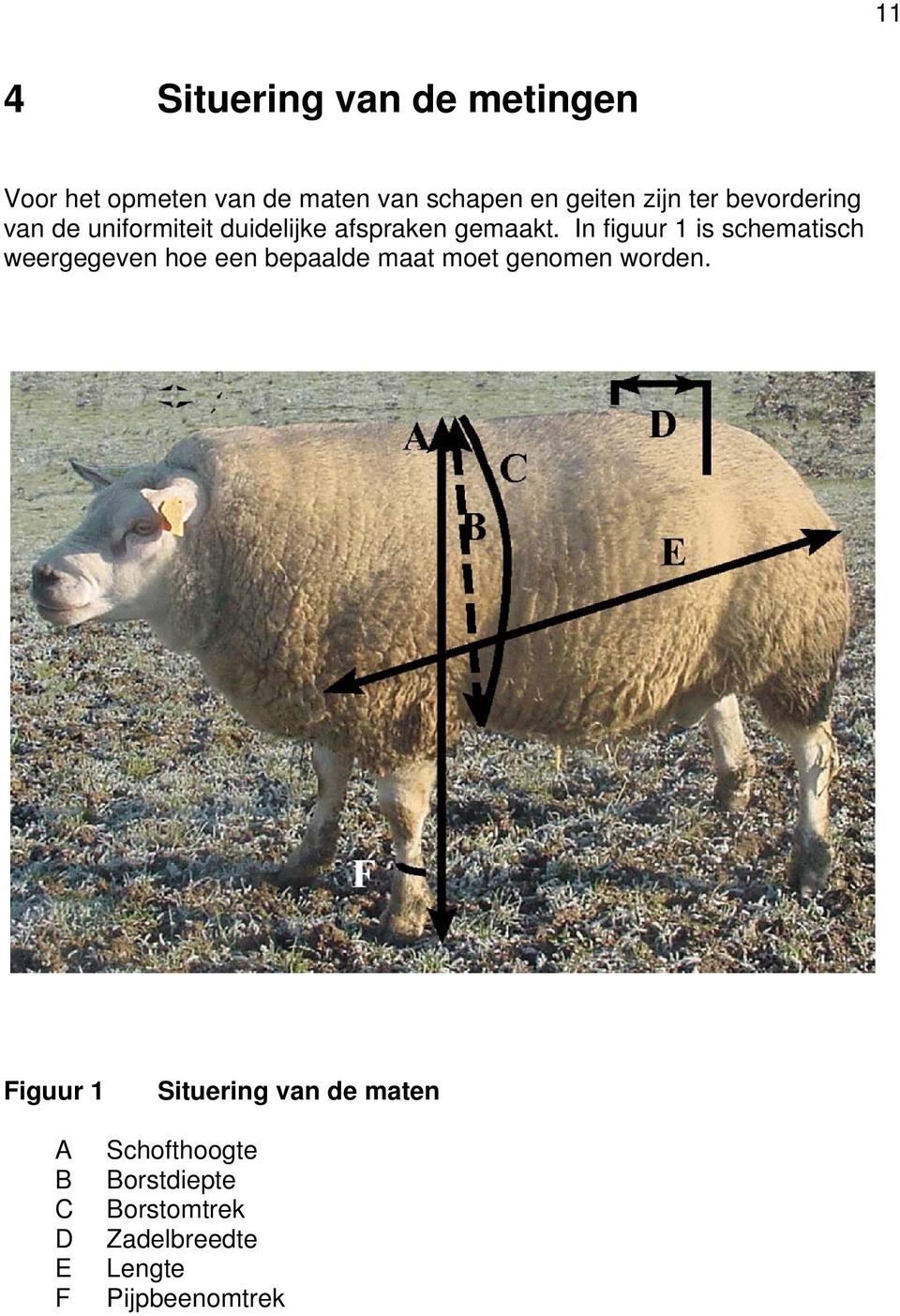 In figuur is schematisch weergegeven hoe een bepaalde maat moet genomen worden.