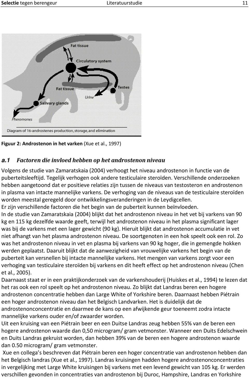 Tegelijk verhogen ook andere testiculaire steroïden.