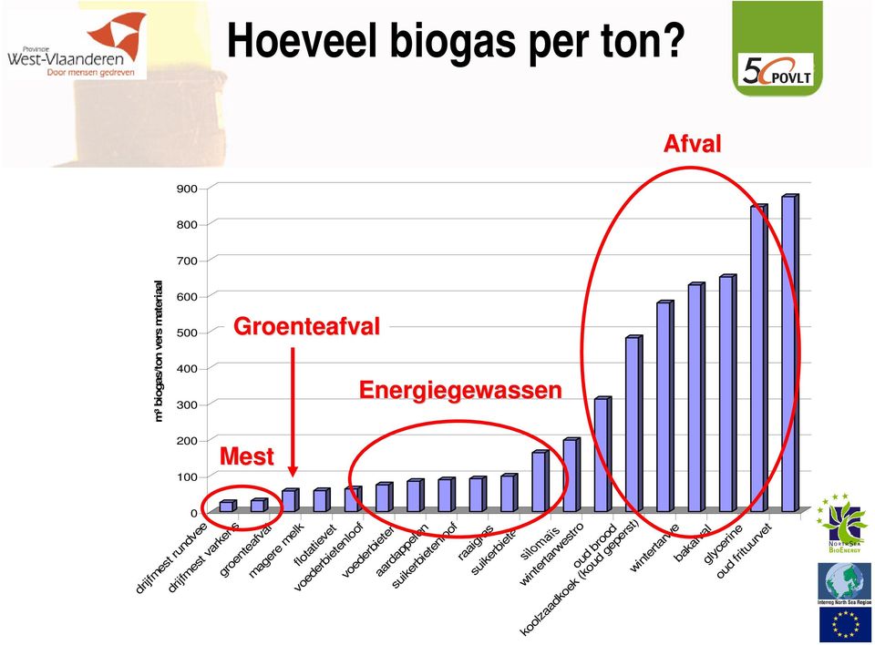 voederbieten aardappelen suikerbietenloof raaigras suikerbieten wintertarwestro oud brood