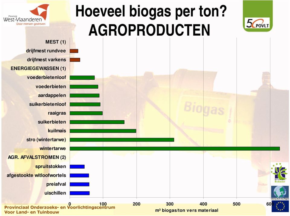 AGROPRODUCTEN voederbieten aardappelen suikerbietenloof raaigras suikerbieten kuilmaïs