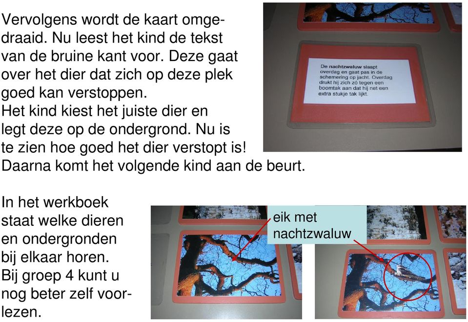 Het kind kiest het juiste dier en legt deze op de ondergrond. Nu is te zien hoe goed het dier verstopt is!