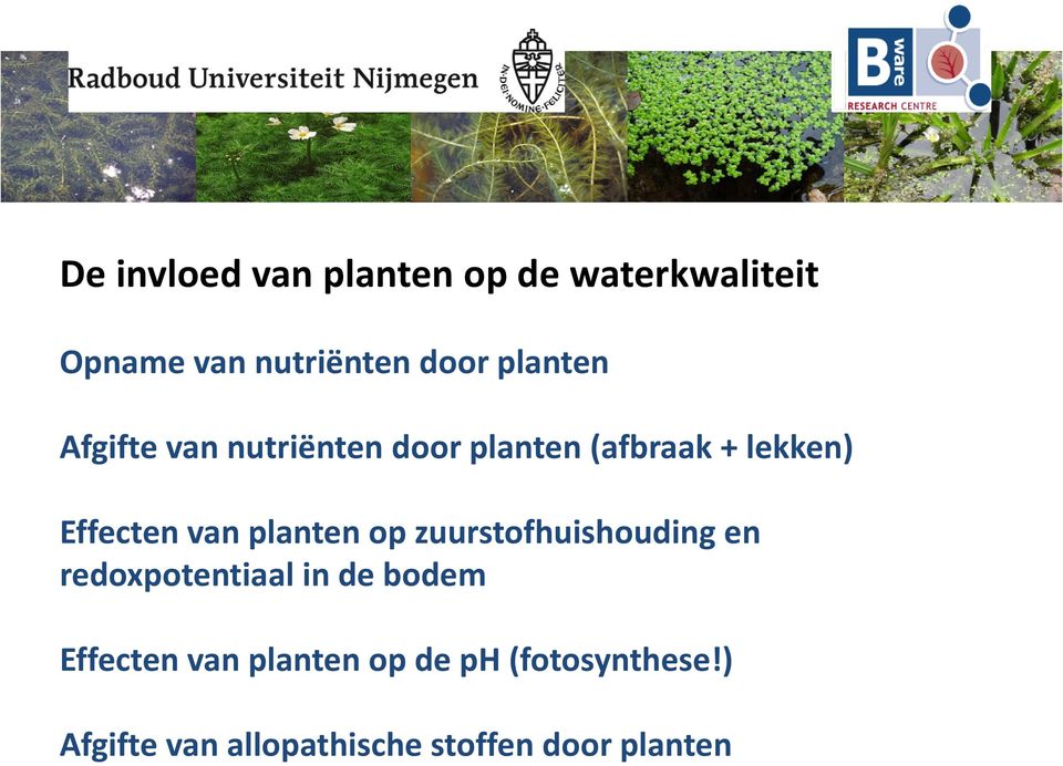 planten op zuurstofhuishouding en redoxpotentiaal in de bodem Effecten van