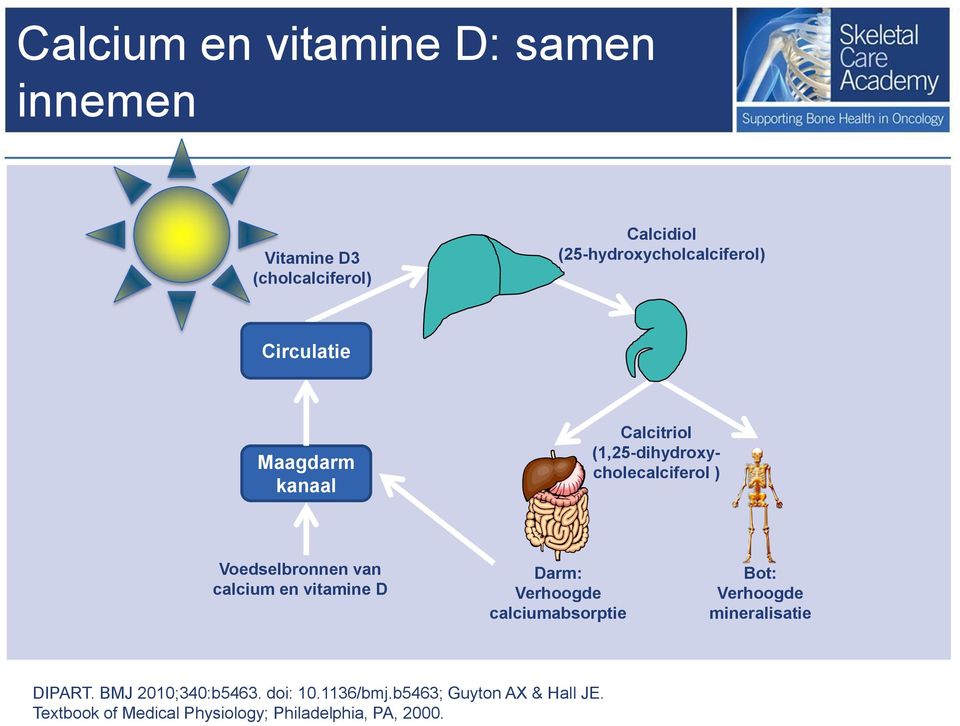 Voedselbronnen van calcium en vitamine D Darm: Verhoogde calciumabsorptie Bot: Verhoogde