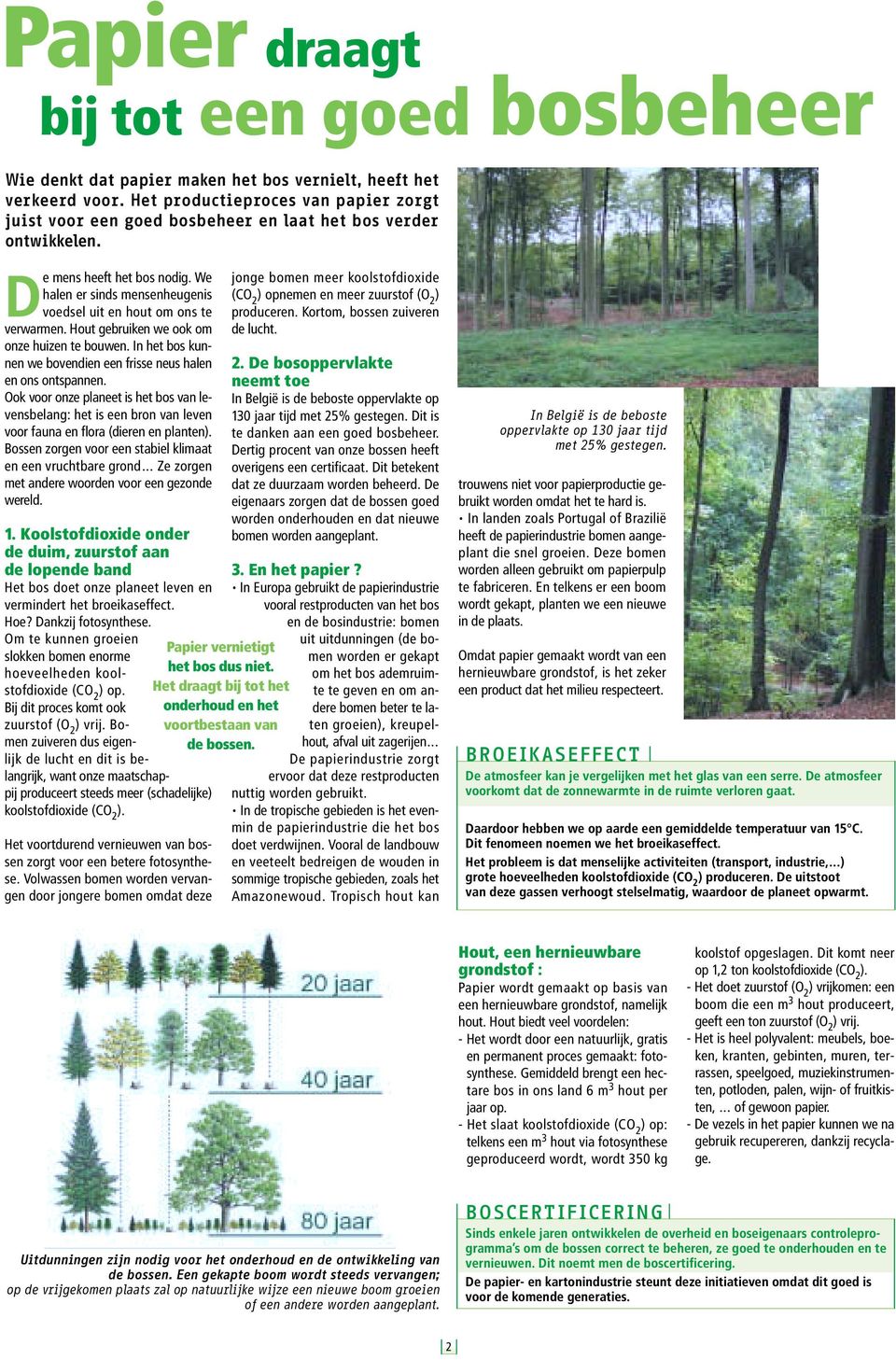 We halen er sinds mensenheugenis voedsel uit en hout om ons te verwarmen. Hout gebruiken we ook om onze huizen te bouwen. In het bos kunnen we bovendien een frisse neus halen en ons ontspannen.