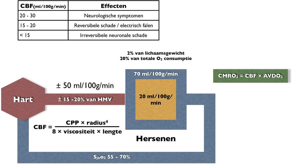 totale O2 consumptie Hart ± 50 ml/100g/min ± 15-20% van HMV 70 ml/100g/min 20