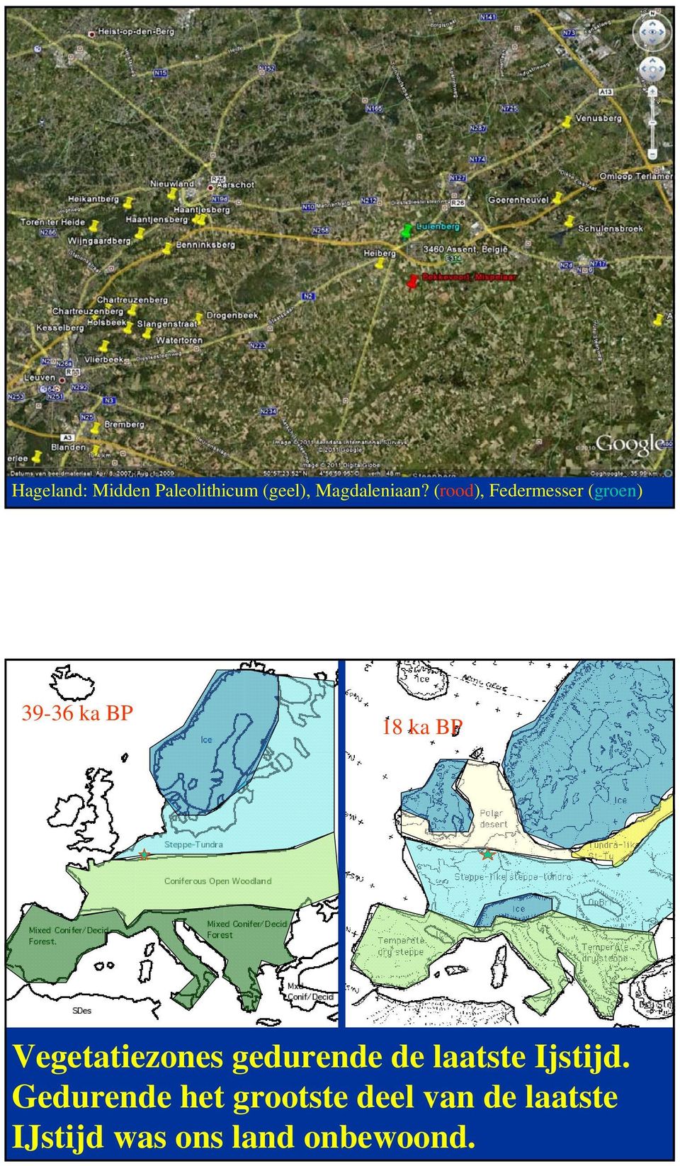Vegetatiezones gedurende de laatste Ijstijd.